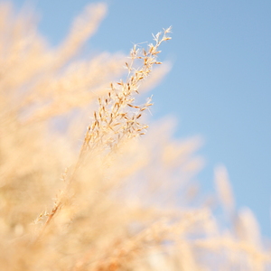 摸着小表妺的小屁股坐下
